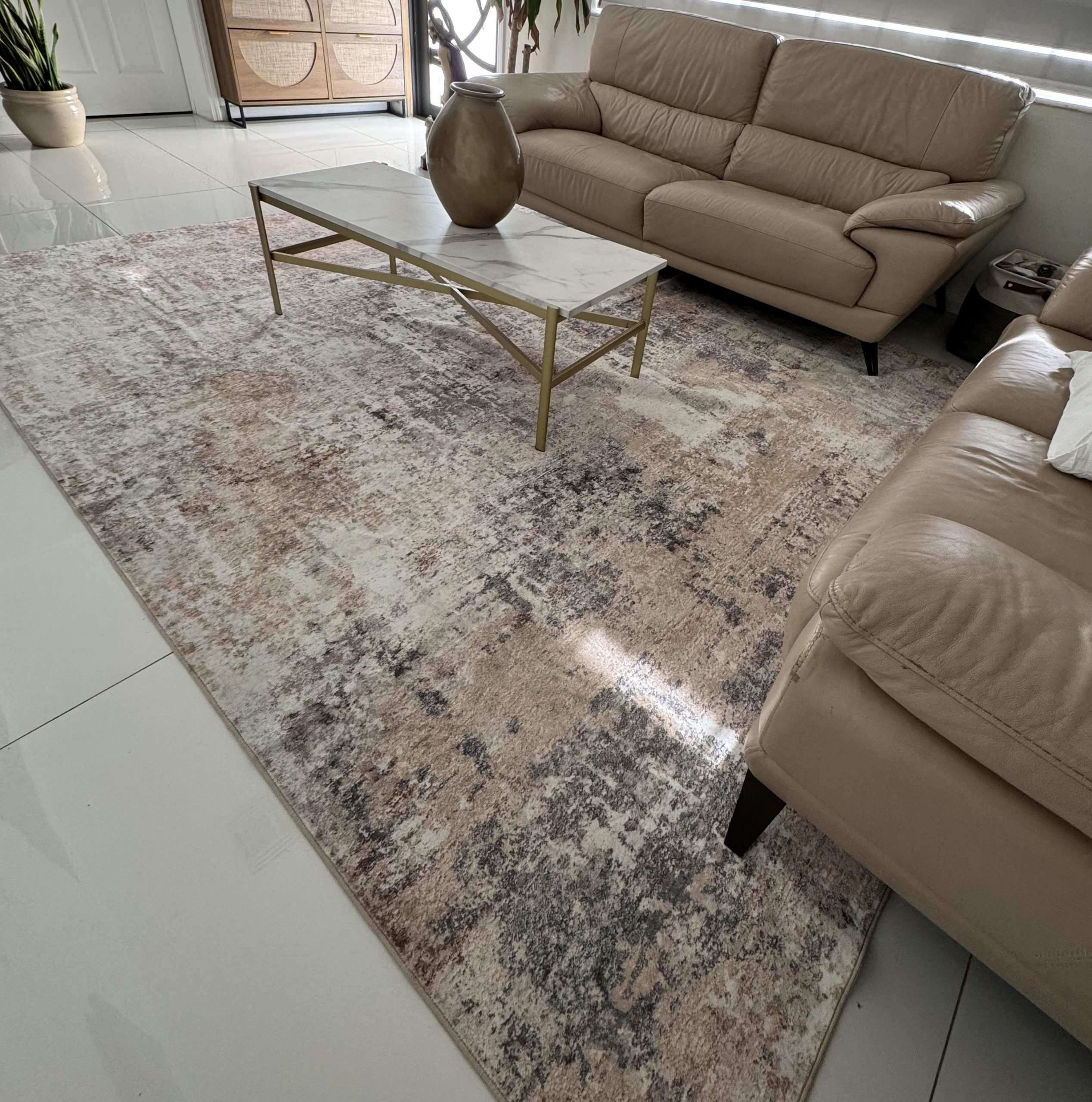 Neutral beige area rug in modern elegant living room